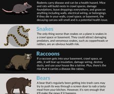 Which animals cause the most damage to your home