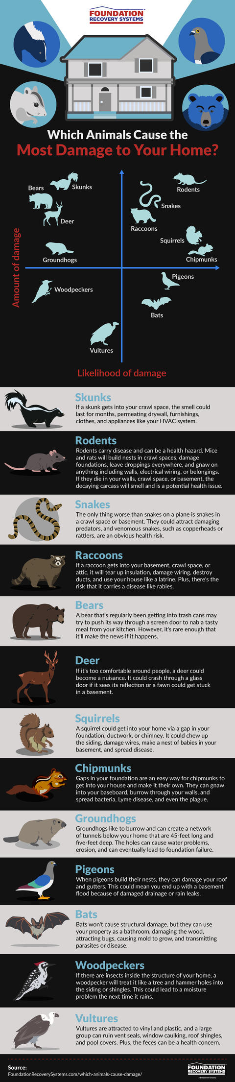 Which animals cause the most damage to your home