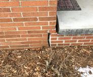 heaving foundation