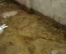 flooded basement with standing water