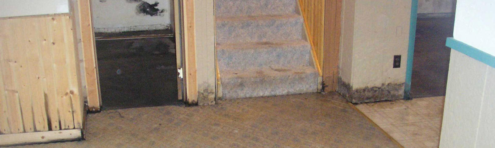 Wet and moldy basement stairs and walls