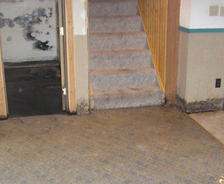 Wet and moldy basement stairs and walls