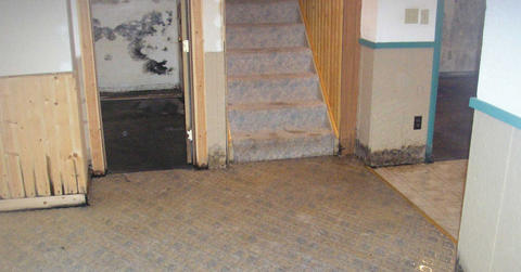 Wet and moldy basement stairs and walls