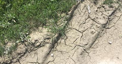 cracking soil