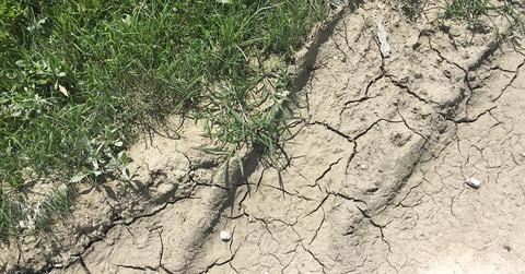 cracking soil