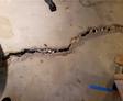 uneven floor and heaving foundation