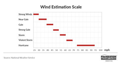 Wing Estimation Scale