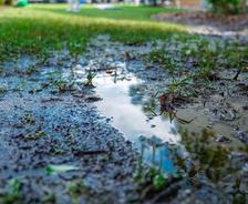 flooded yard