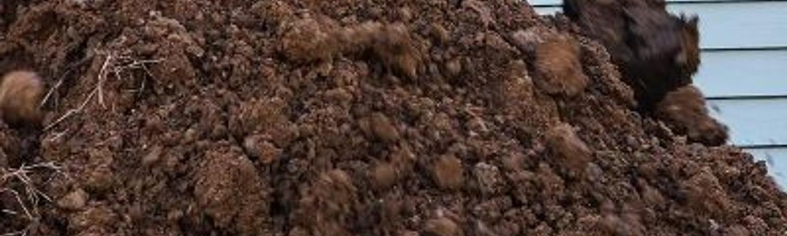Soil