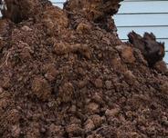 Soil
