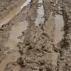 Muddy ruts filled with rainwater on a dirt path.