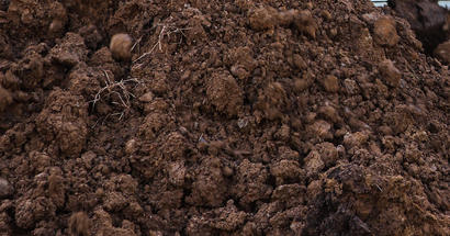 damp clay soil