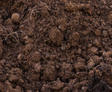 damp clay soil