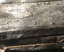 crawl space wood rot