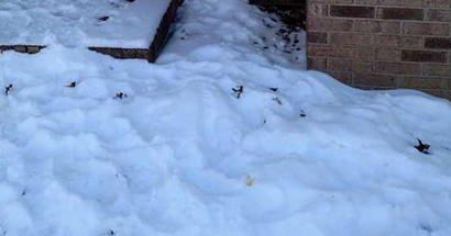 winter climate