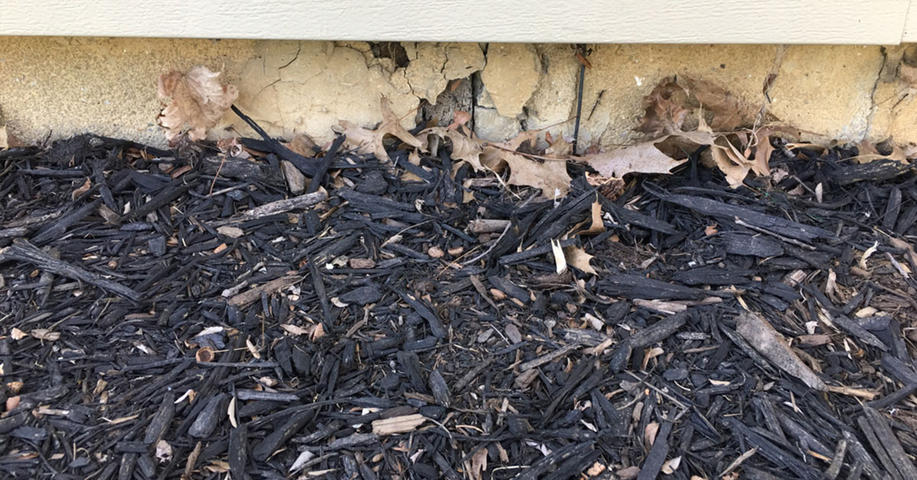 mulch by foundation