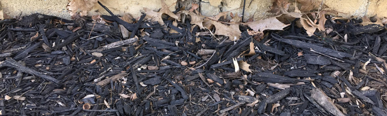 mulch by foundation