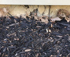 mulch by foundation