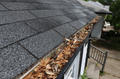 fall leaves clogging gutter