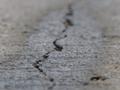 Cracked concrete