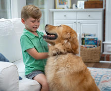 A young boy in a green shirt sits on a couch, smiling at a golden retriever indoors.