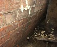 Foam insulation expanding from brick wall cracks in a dimly lit basement area.