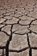 expansive soil closeup