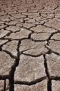 expansive soil closeup