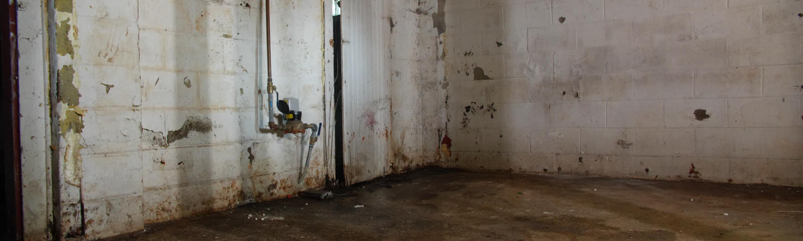 Damp and moldy basement.