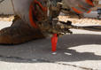 poly fill injection closeup
