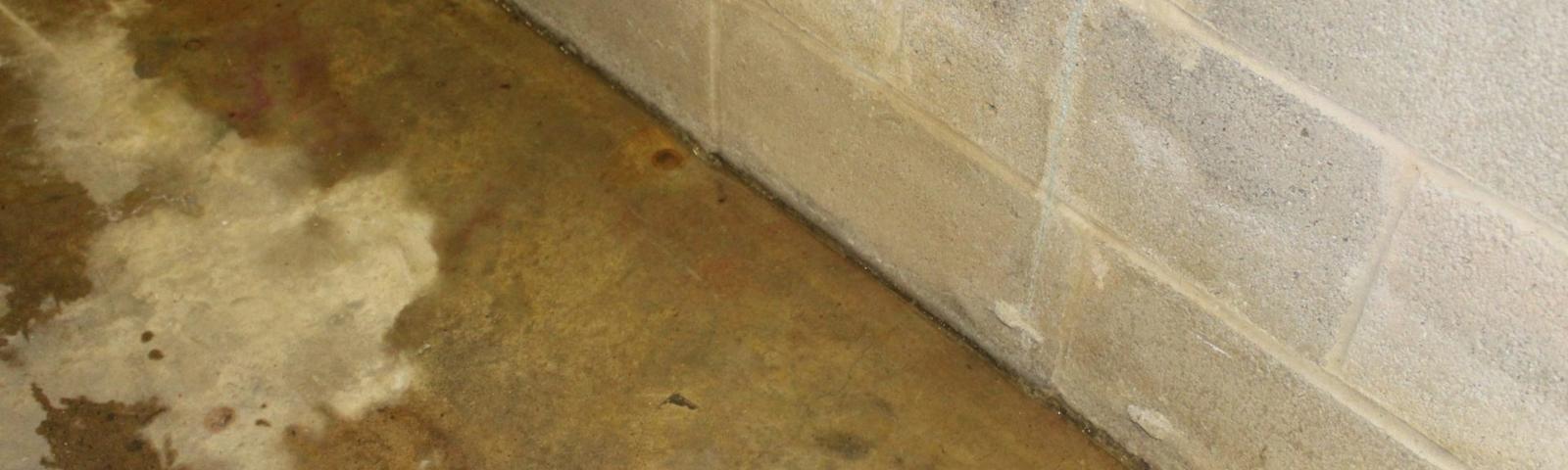water seeping into basement cove