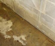 water seeping into basement cove