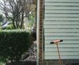 landscaping with your foundation in mind
