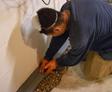 basement waterproofing solutions