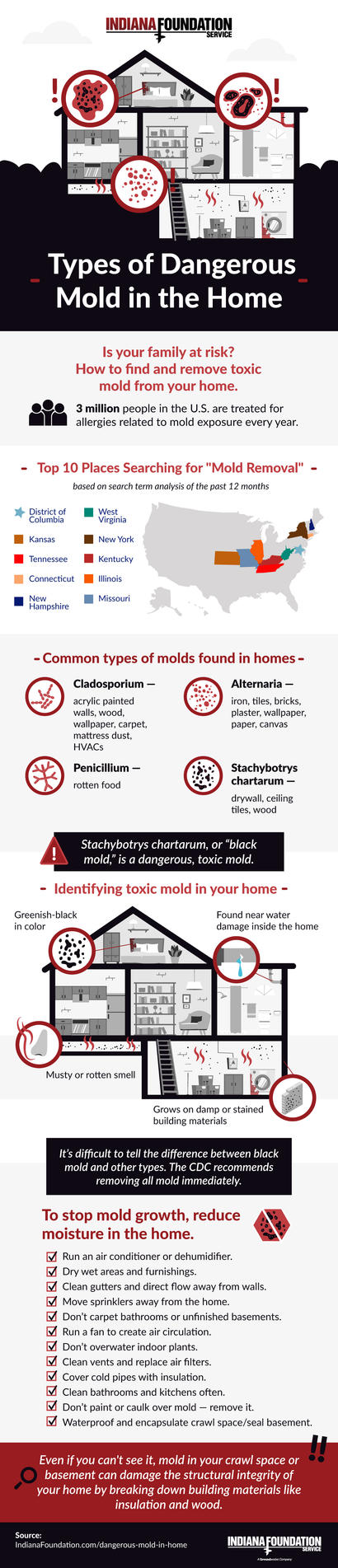 Types of dangerous mold in the home infographic.