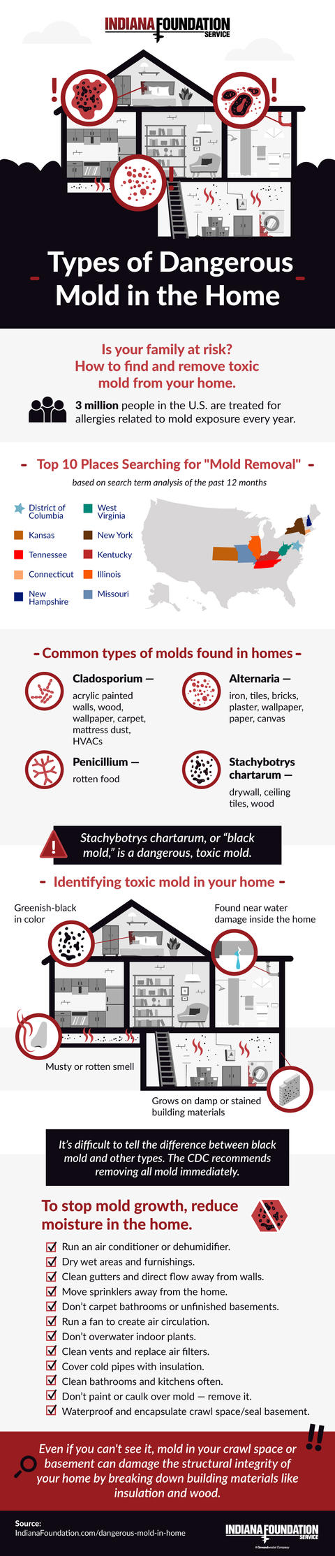 Types of dangerous mold in the home infographic.