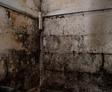 moldy basement walls