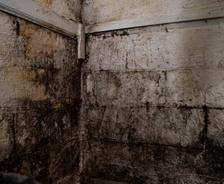 moldy basement walls