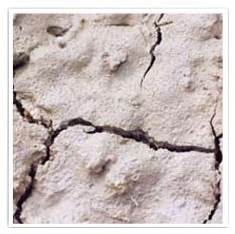 Expansive Soil