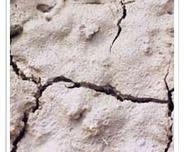 Expansive Soil