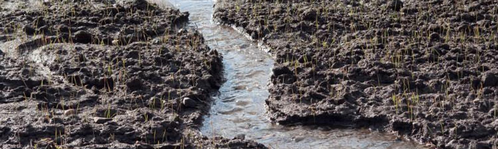 soil washout