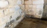 wet basement with leaking walls and bubbling paint