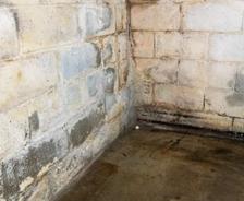 wet basement with leaking walls and bubbling paint