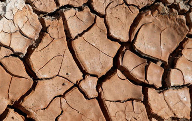 dry clay soil