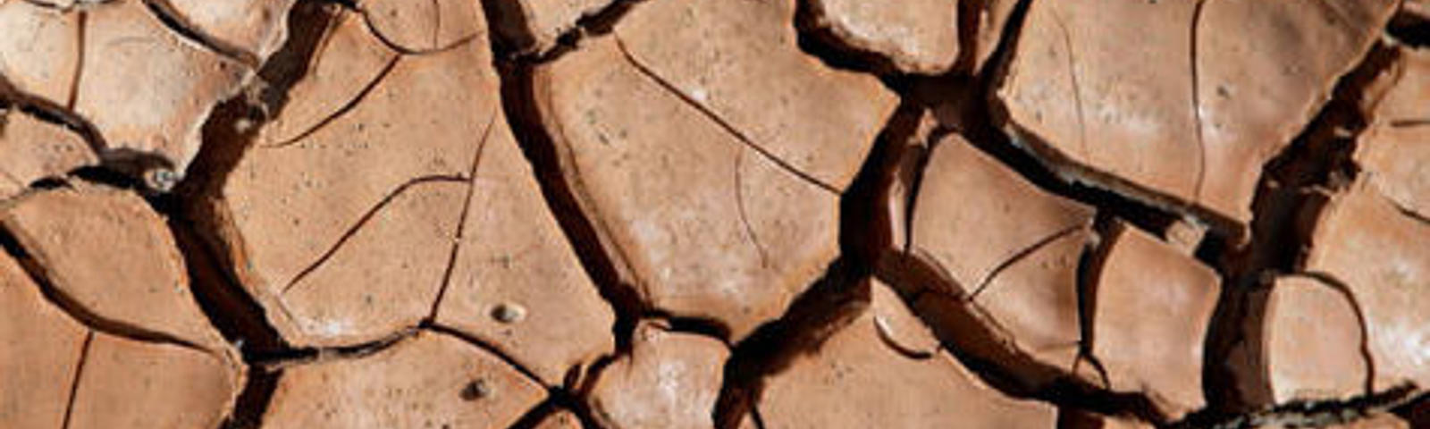 dry clay soil