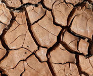 dry clay soil
