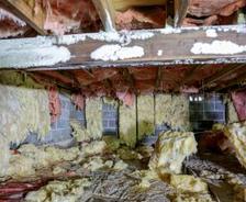 white mold and failing insulation in crawl space