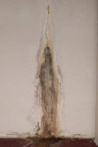 In the basement, a stain on the wall resembles an abstract figure, with intricate cracks and subtle discoloration weaving through its form.
