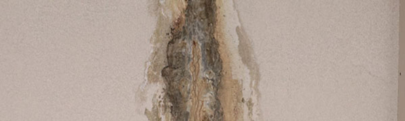 In the basement, a stain on the wall resembles an abstract figure, with intricate cracks and subtle discoloration weaving through its form.