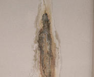 In the basement, a stain on the wall resembles an abstract figure, with intricate cracks and subtle discoloration weaving through its form.